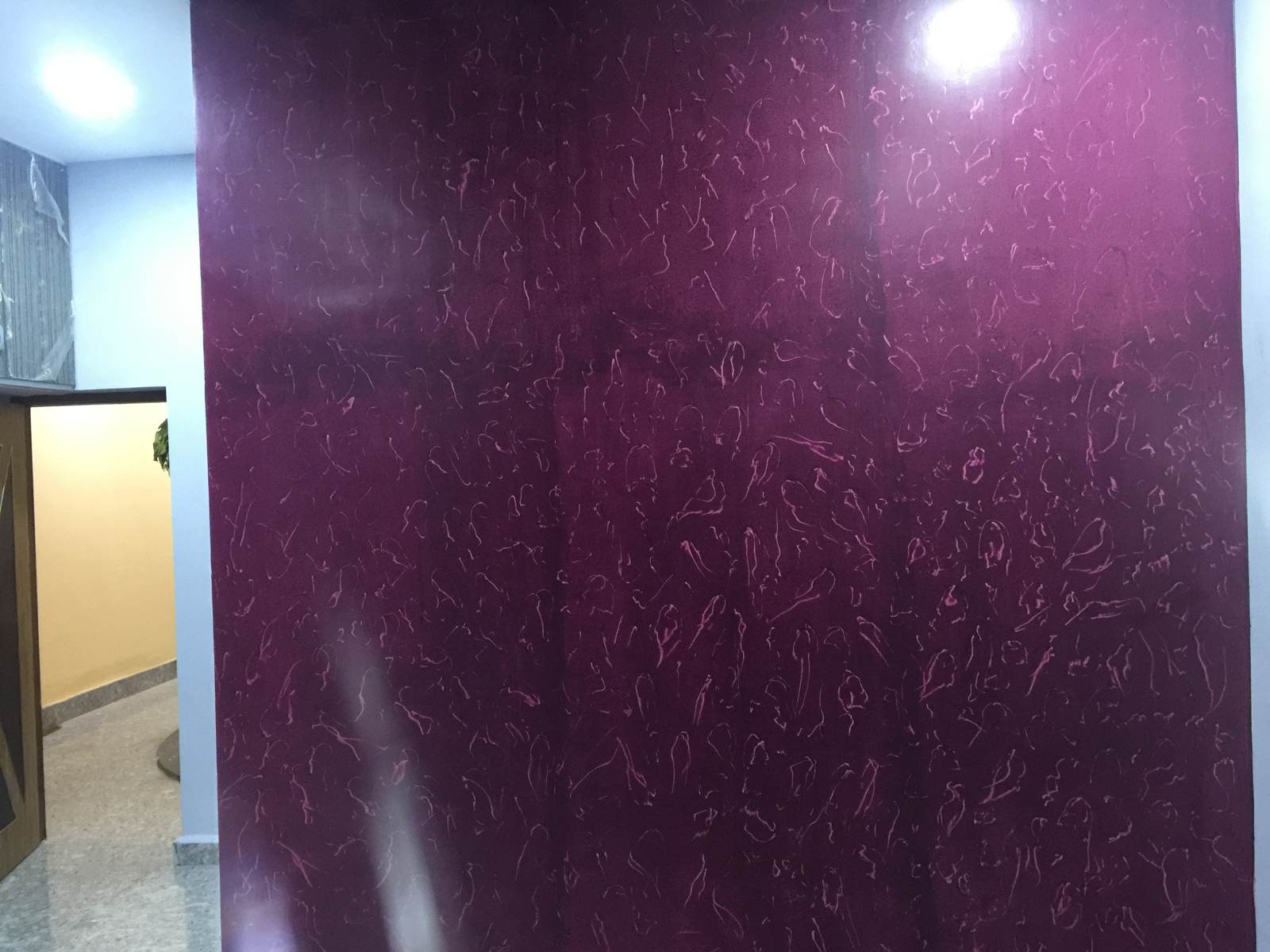 Luxury Villa for Mr.Aandidurai -2019